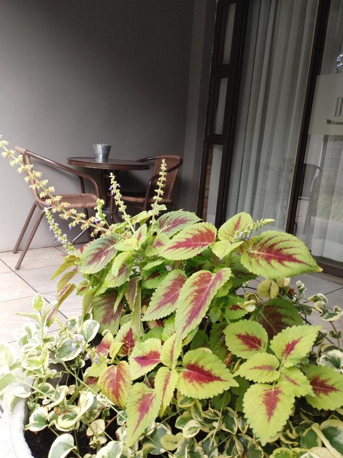 Ditsaleng Bed And Breakfast Vanderbijlpark Esterno foto